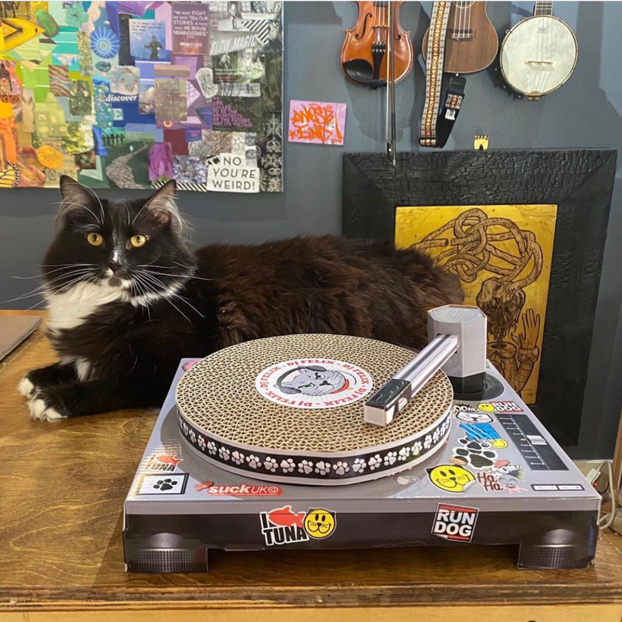 Cat playhouse scratching pad dj online